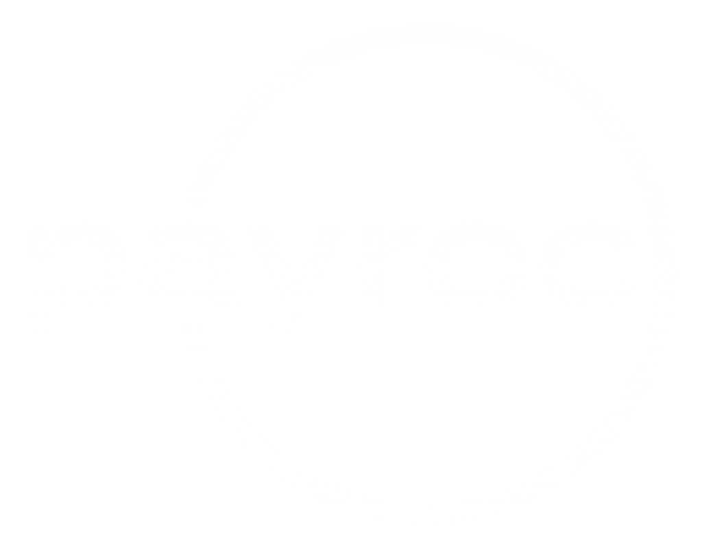 Payroc partner logo